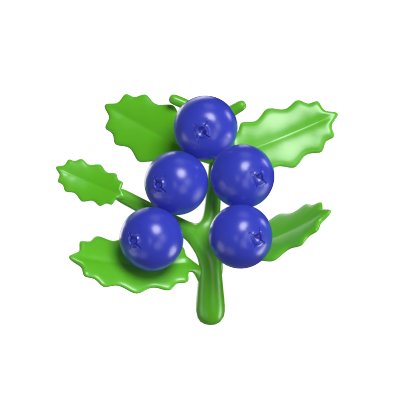 Blueberries 3D Model