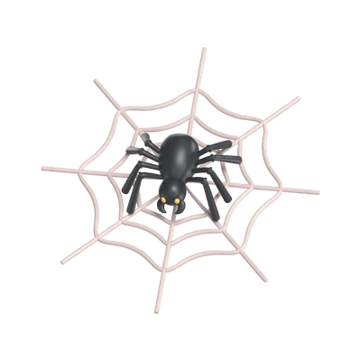 Spider Web 3D Model 3D Graphic