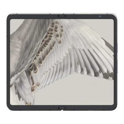 google pixel fold 3dモデル 3D Graphic