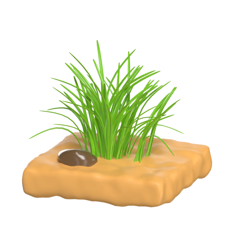 Gras 3D Modell