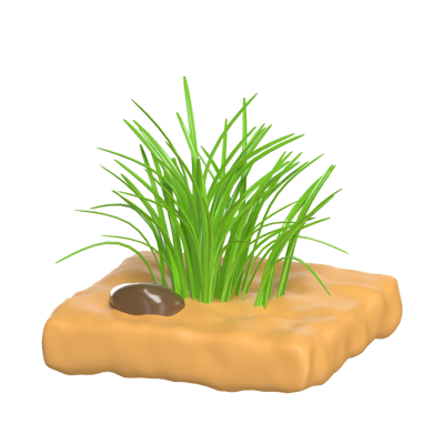 gras 3d modell 3D Graphic