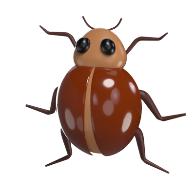 Bug 3D Model 3D Graphic