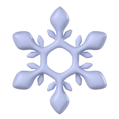 Snowflake 3D Model 3D Graphic