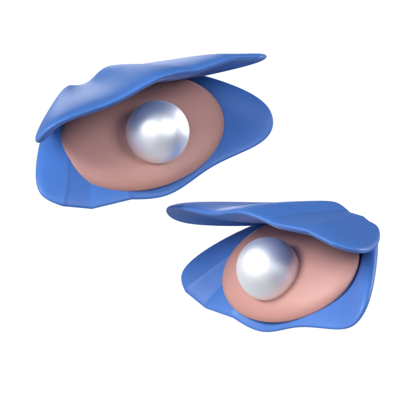 Seashell 3D Model