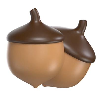 Acorn 3D Model 3D Graphic