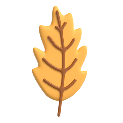 Oak Leaf 3D Model 3D Graphic