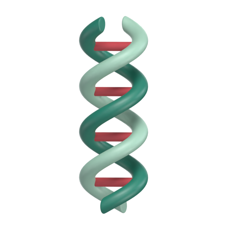 Modelo 3D de DNA 3D Graphic