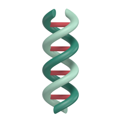 DNA 3D Model 3D Graphic