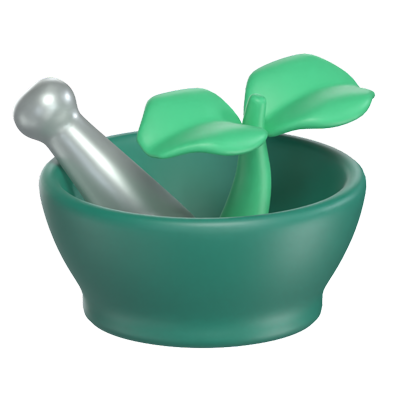 Herbal Bowl 3D Model 3D Graphic