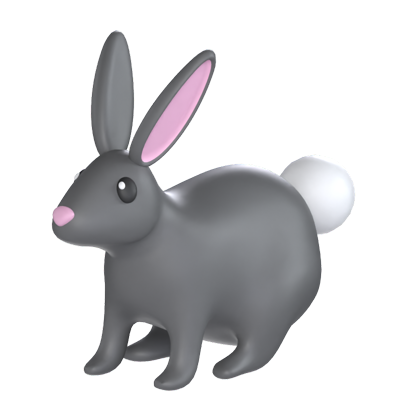 Rabbit 3D Model 3D Graphic