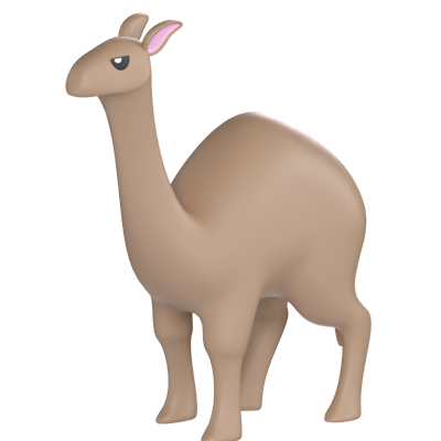 Camel 3D Model 3D Graphic