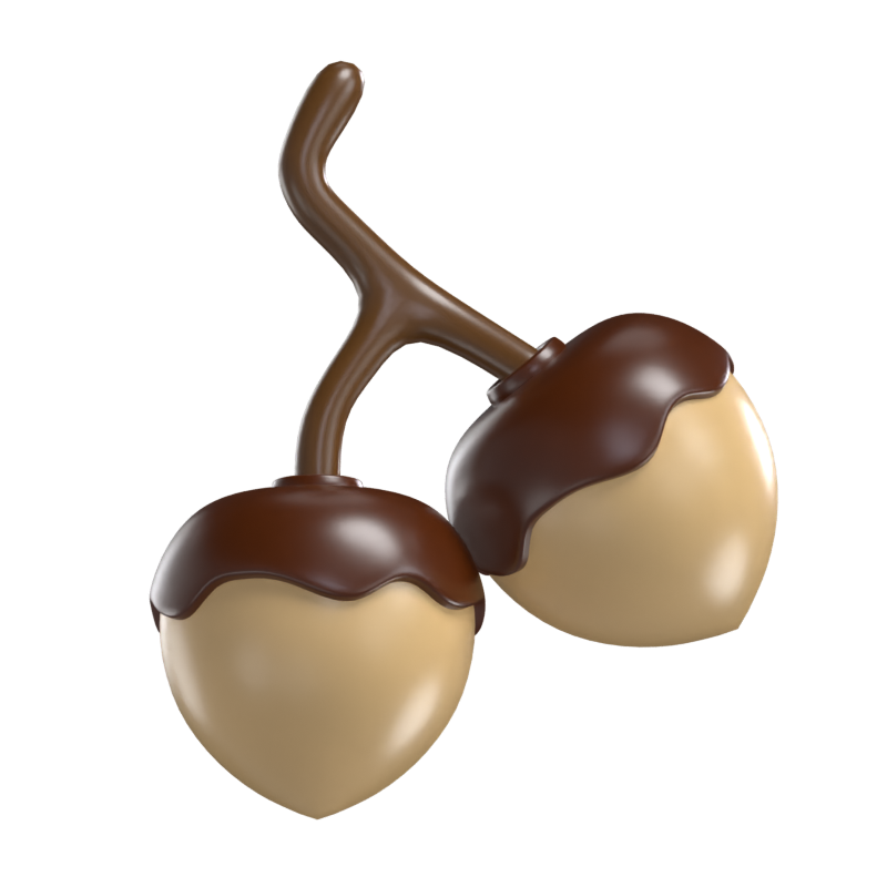 Acorn 3D Model 3D Graphic