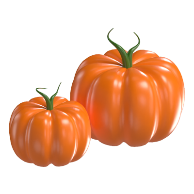 Pumpkin 3D Model 3D Graphic