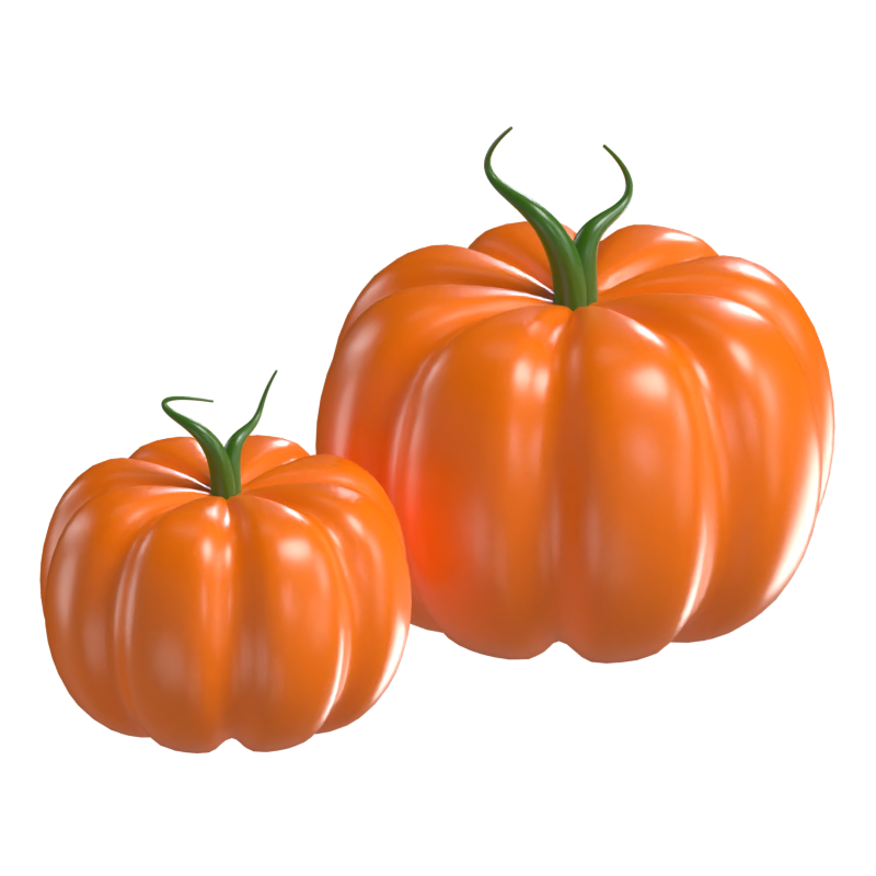 Pumpkin 3D Model 3D Graphic