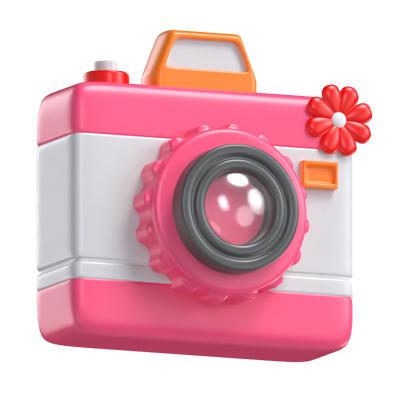 Wedding Camera 3D Model 3D Graphic