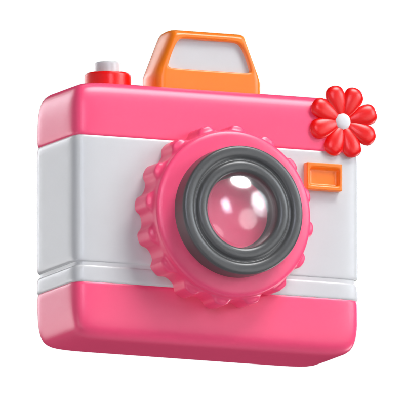 Wedding Camera 3D Model 3D Graphic