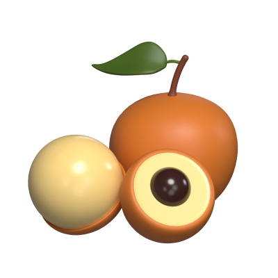 Longan 3D Modell 3D Graphic