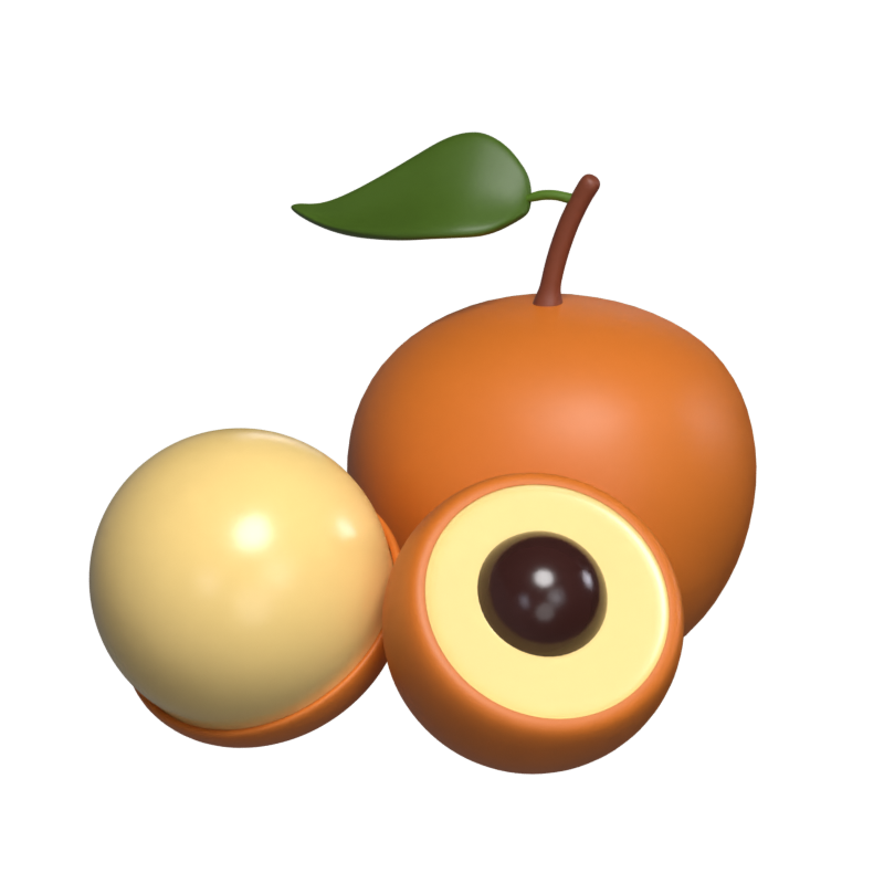 Modelo 3D de Longan 3D Graphic