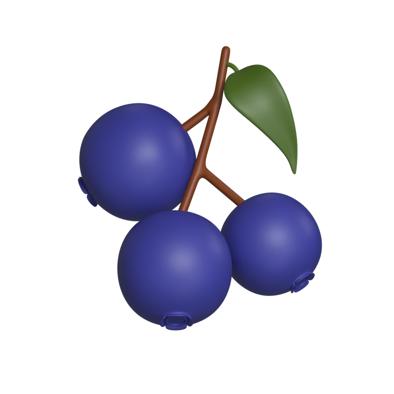 Blaubeeren 3D Modell 3D Graphic