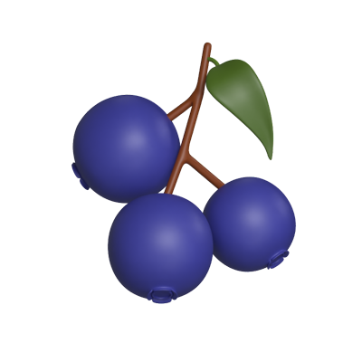 Blaubeeren 3D Modell 3D Graphic