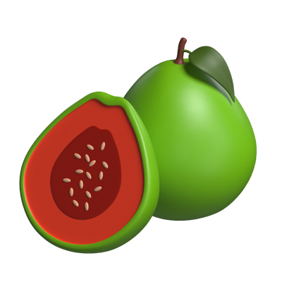 Guava 3D Model 3D Graphic