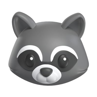 Racoon 3D Model 3D Graphic