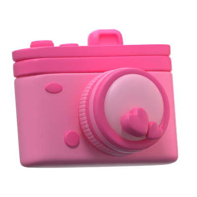 Wedding Camera 3D icon 3D Graphic