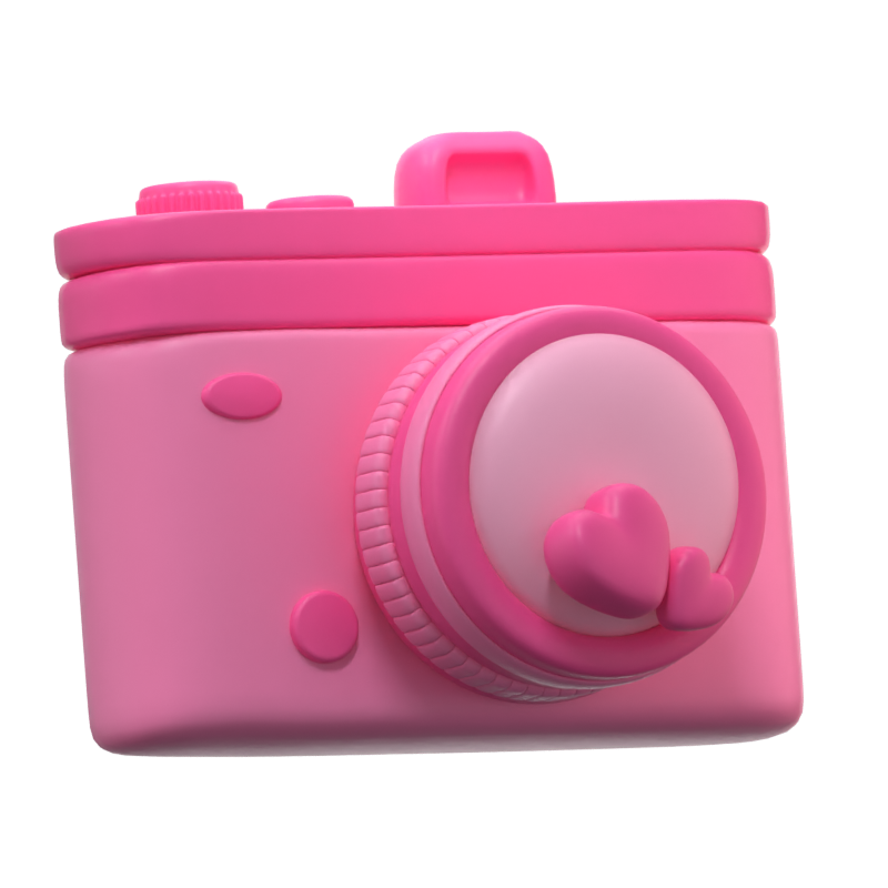 Wedding Camera 3D icon 3D Graphic