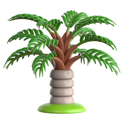 Teddy Bear Palm 3D Icon 3D Graphic