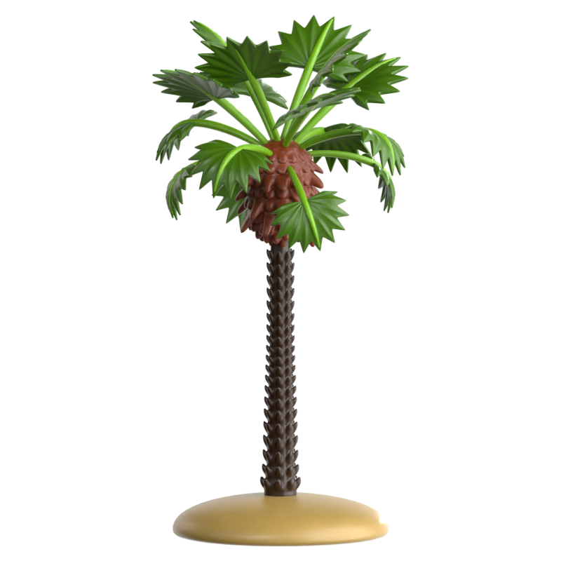 California Fan Palm 3D Icon 3D Graphic