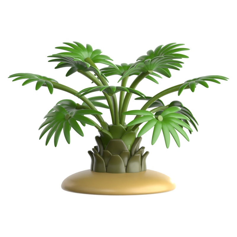 Dwarf Palmetto 3D Icon 3D Graphic