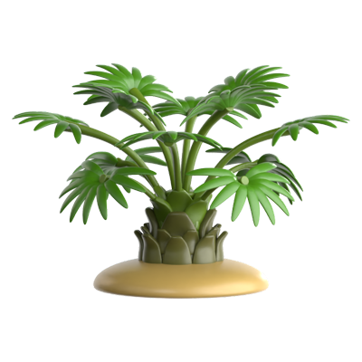 Dwarf Palmetto 3D Icon 3D Graphic