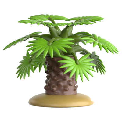 Windmill Palm 3D Icon 3D Graphic