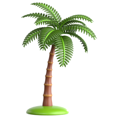 Coconut Palm 3D Icon 3D Graphic