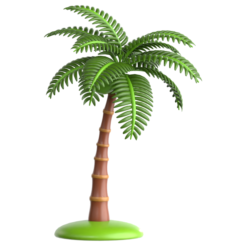 Coconut Palm 3D Icon