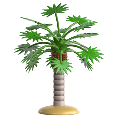 Florida Thatch Palm Icono 3D 3D Graphic