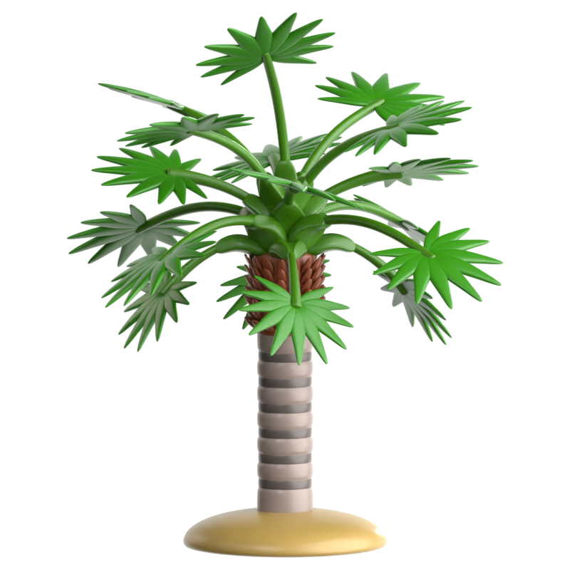 Florida Strohpalme 3D-Symbol 3D Graphic