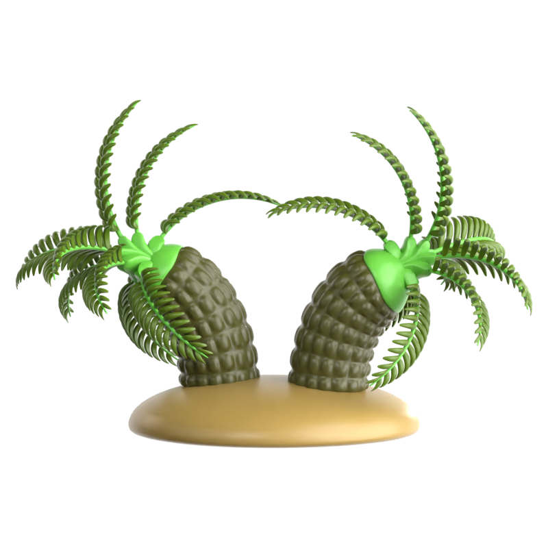 Pygmy Date Palm 3D Icon 3D Graphic