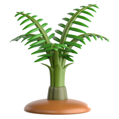 Parlor Palm 3D Icon 3D Graphic