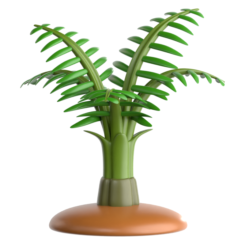 Parlor Palm 3D Icon 3D Graphic