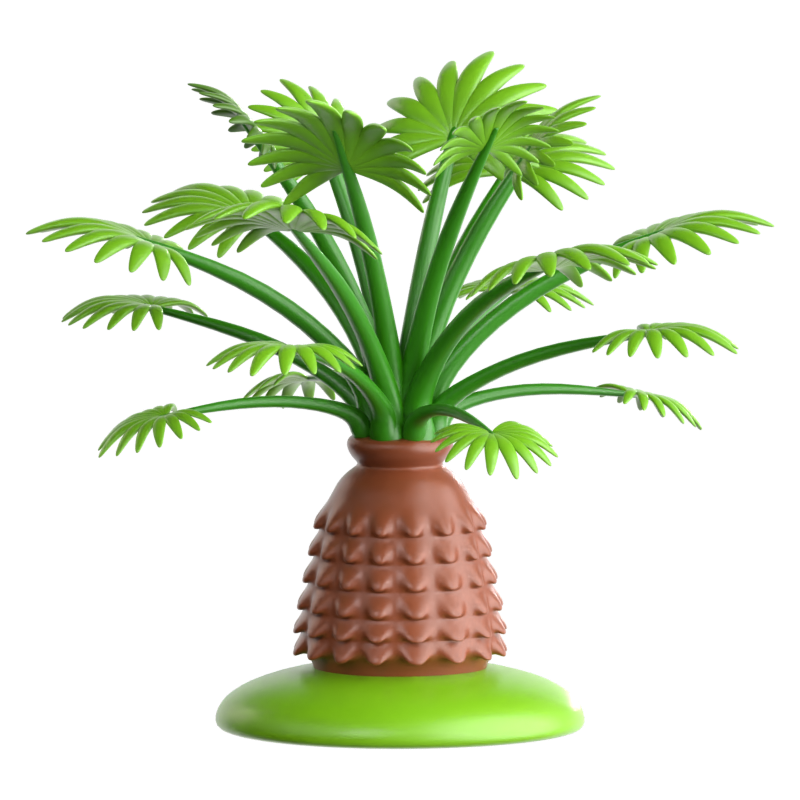 Nadelpalme 3D-Symbol 3D Graphic