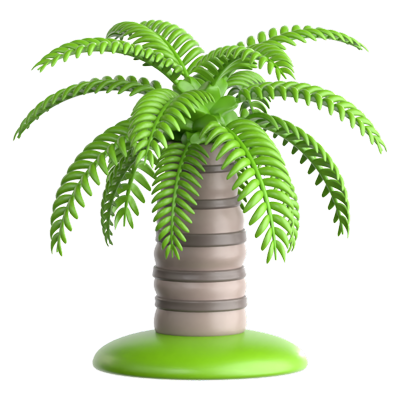 Queen Palm 3D Icon 3D Graphic