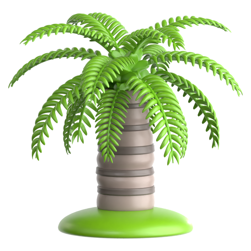 Queen Palm 3D Icon 3D Graphic