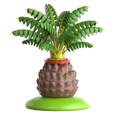 Sago Palm 3D Icon 3D Graphic