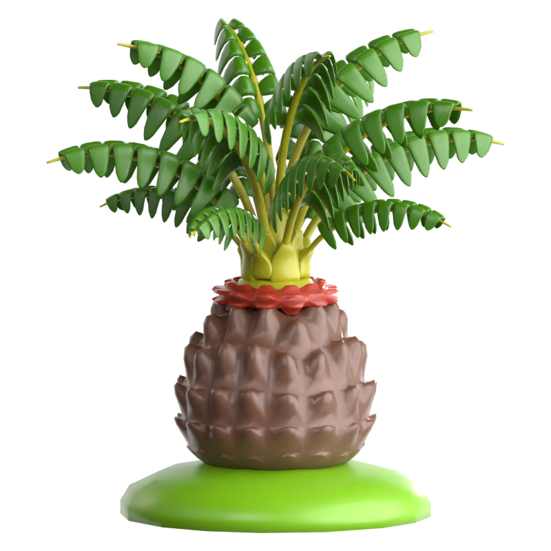 Sago-Palme 3D-Symbol 3D Graphic