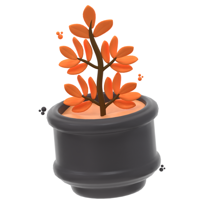 Decorative Plant 3D Icon 3D Graphic