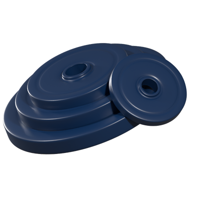 Weight Plate 3D Icon 3D Graphic