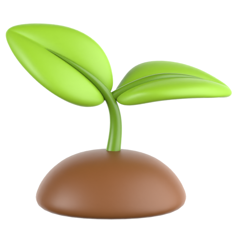 Plant 3D Icon 3D Graphic