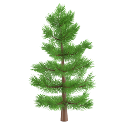 Spruce Tree 3D Icon 3D Graphic