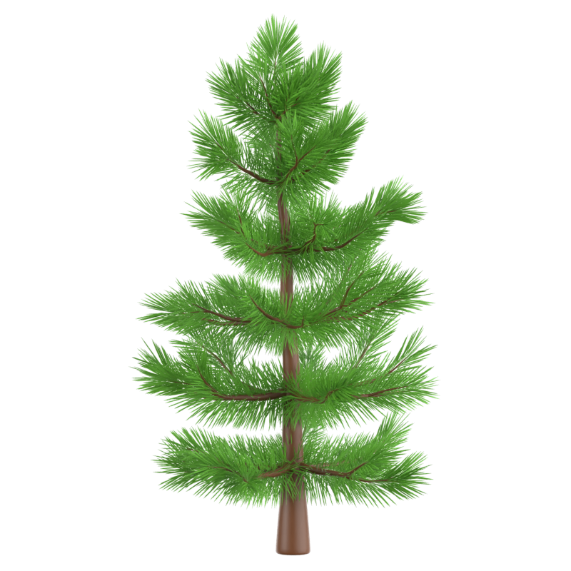 Spruce Tree 3D Icon 3D Graphic